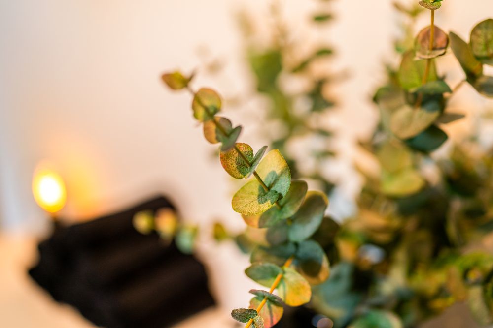 Eucalyptustakken bij zacht kaarslicht in de sfeervolle massageruimte